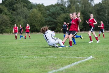 Bild 298 - Frauen SG NieBar - HSV 2 : Ergebnis: 4:3